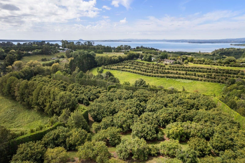 22 Point Road, Mokau, Mōkau - Carousel 12