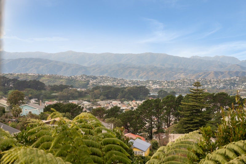22 Whaui Street, Vogeltown, Wellington - Carousel 2