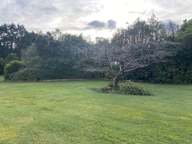 96 Ruru Avenue, Otatara - Carousel 20