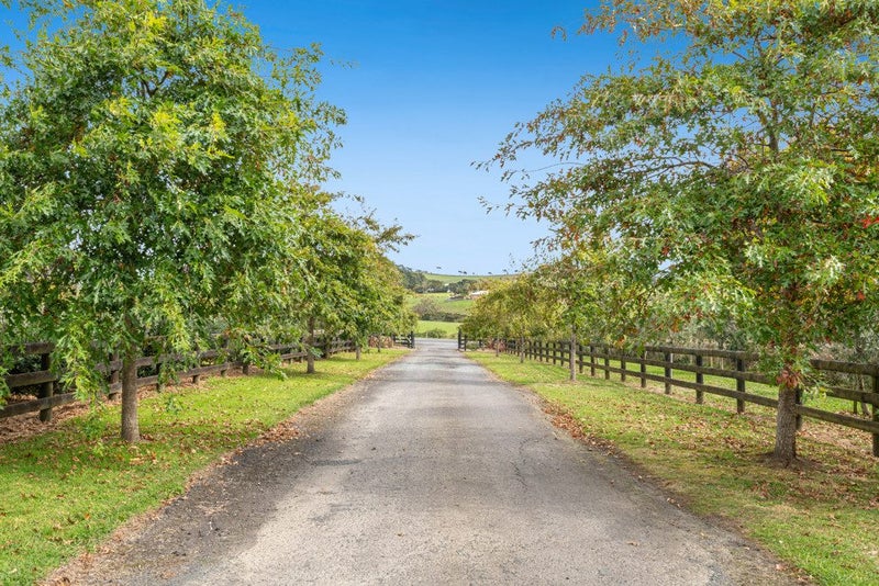 81 Peak Road, Helensville - Carousel 2