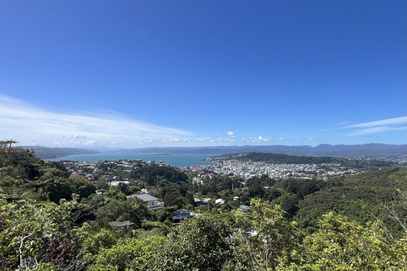 67 Highbury Road, Highbury, Wellington - Carousel 2