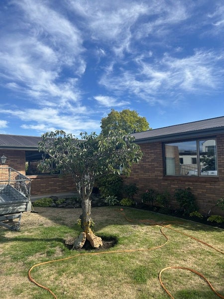 11 Rawhiti Street, Alexandra, Alexandra - Carousel 2