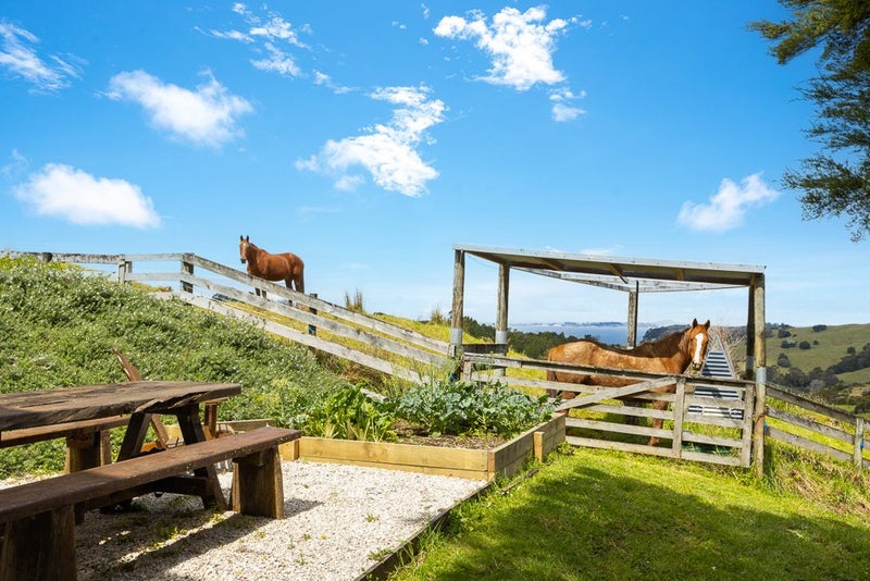 564 Mahurangi West Road, Mahurangi West, Rodney, Auckland - Carousel 37