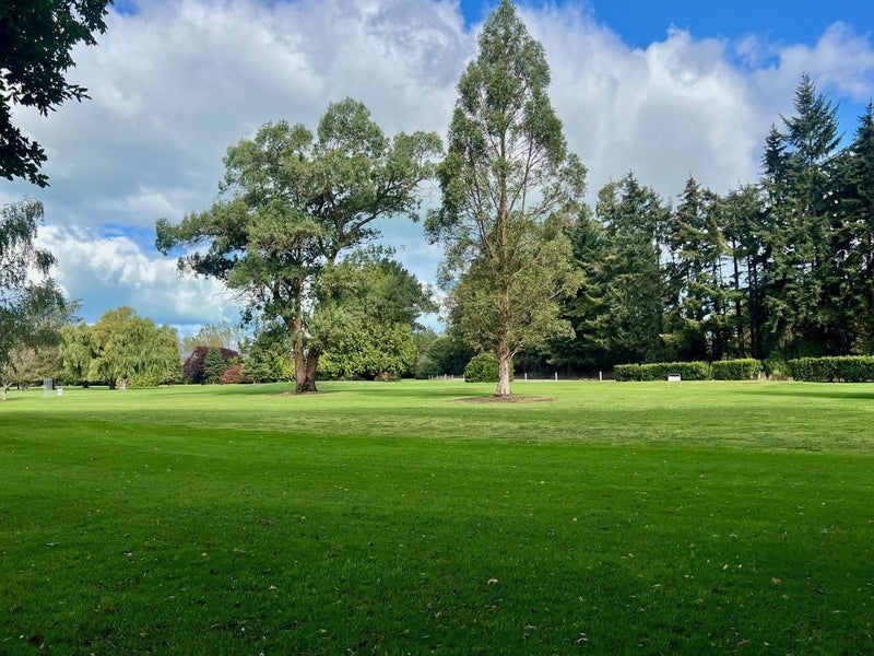 129A Domain Avenue, Temuka - Carousel 21