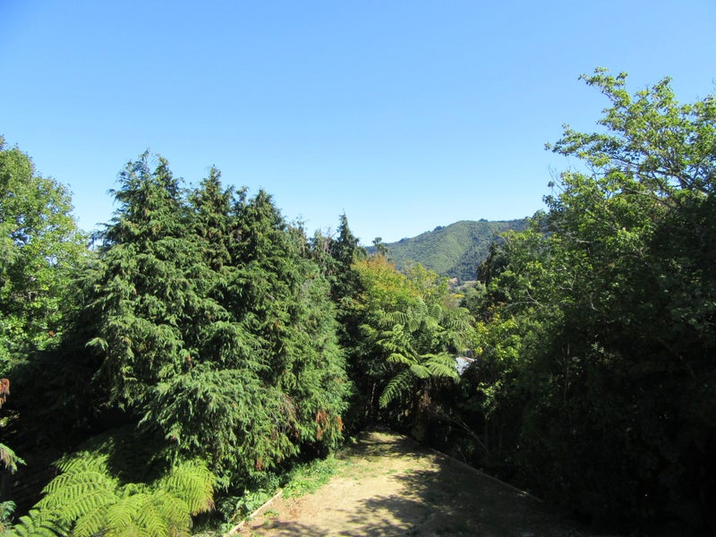 1/12 Vista Crescent, Maoribank, Upper Hutt - Carousel 20