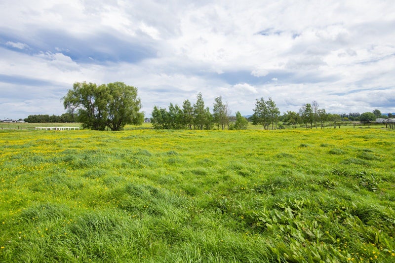 592A Back Ormond Road, Makauri, Gisborne - Carousel 50