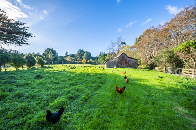 Property Valuation for 1031A Blue Mountains Road, Blue Mountains, Upper