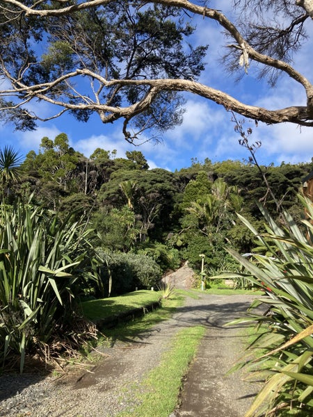 89 Glenesk Road, Piha - Carousel 1