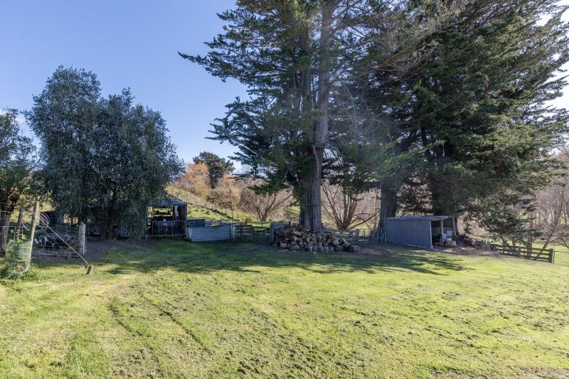 164 Rotohiwi Road, Flemington, Waipukurau - Carousel 24