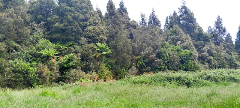 0 Wangapeka Road, Little Wanganui, Karamea - Carousel 5