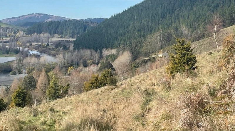 1815 Motueka Valley Highway, Ngatimoti, Tasman, Nelson / Tasman - Carousel 45
