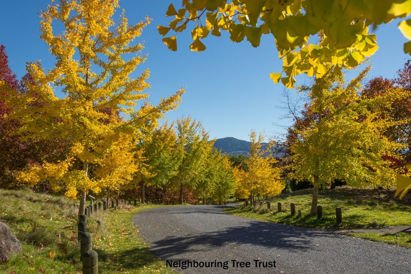 20 Exeter Place, Tihiotonga, Rotorua - Carousel 29