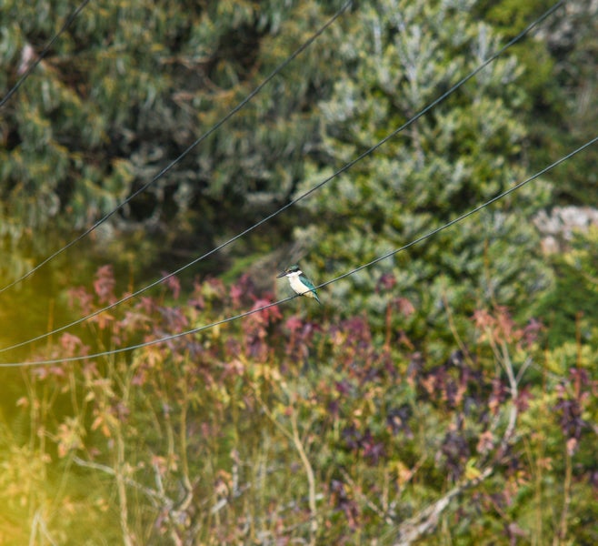 65G Fryer Road, Rotorua - Carousel 24