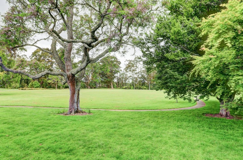 26 Te Anau Place, Glenview, Hamilton - Carousel 25