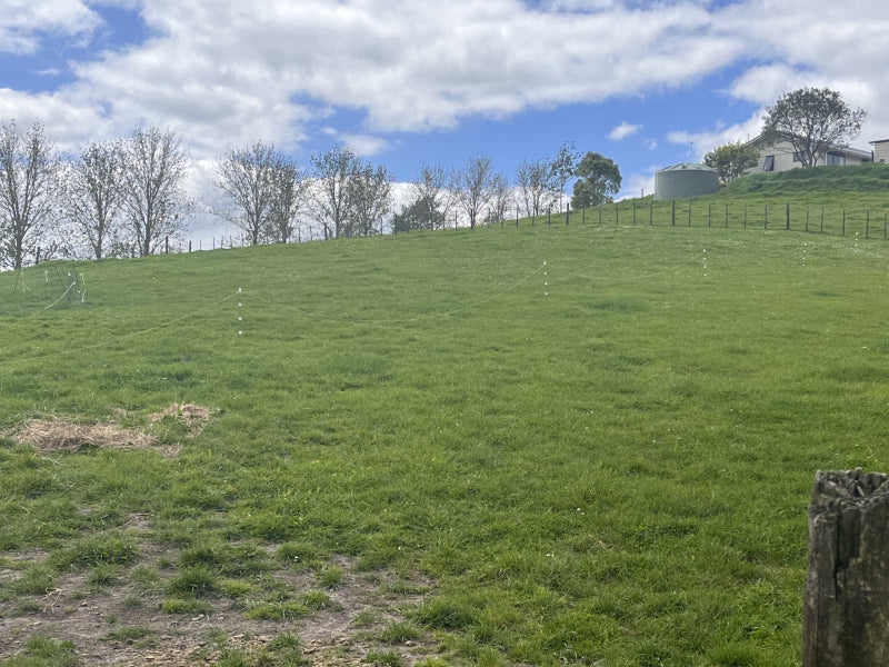 168A Kokopu Block Road, Maungatapere, Whangārei - Carousel 19