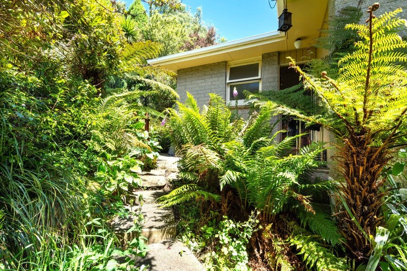 177 Evans Street, Opoho, Dunedin - Carousel 2