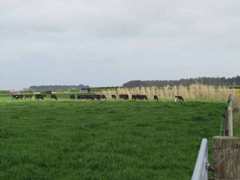 Property Valuation for 221 Mangapoua Road, Hawera Trade Me Property