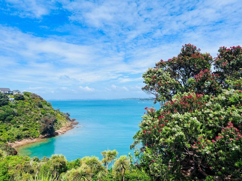 53 Kennedy Point Road, Surfdale, Waiheke Island - Carousel 1