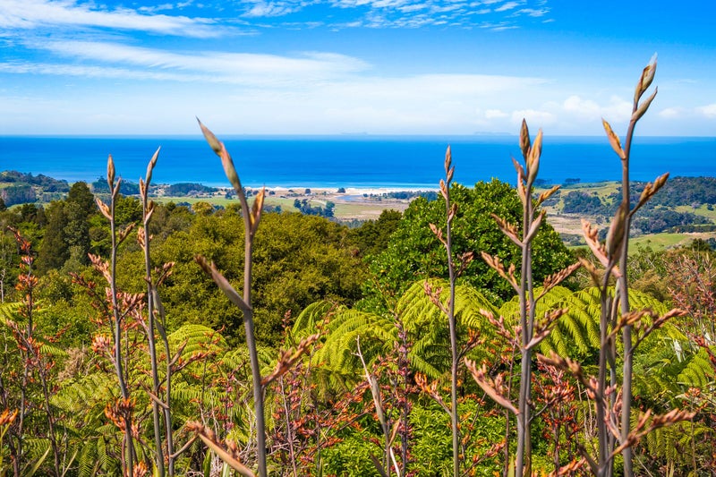 1612H Pakiri Road, Tomarata, Wellsford - Carousel 33