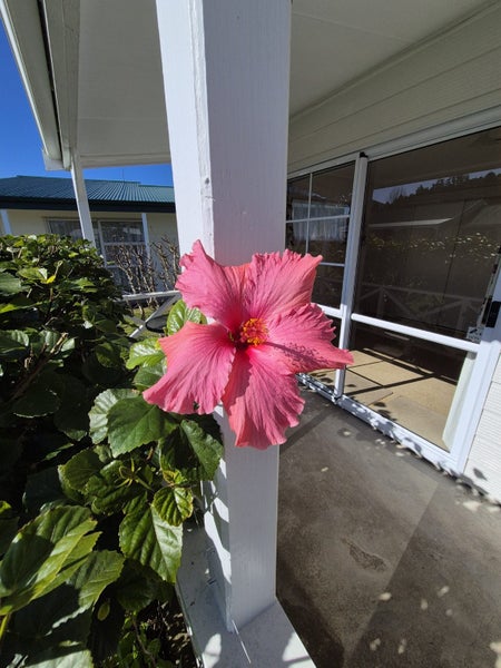 4 Courthouse Lane, Coromandel, Coromandel - Carousel 29