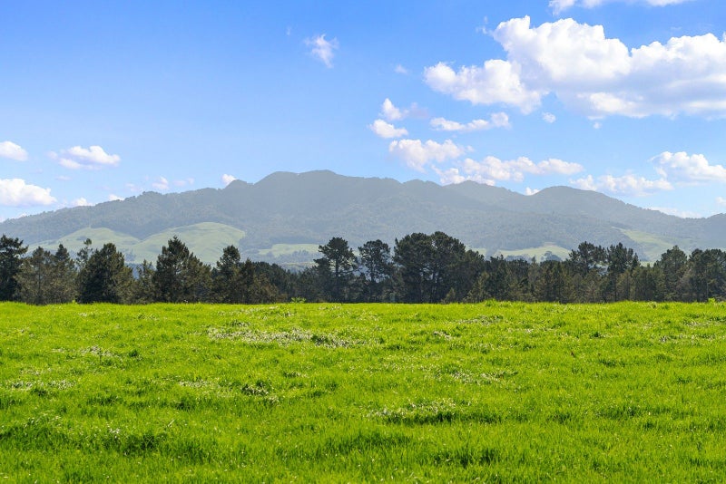 14A Darby Road, Arapuni, Putāruru - Carousel 1
