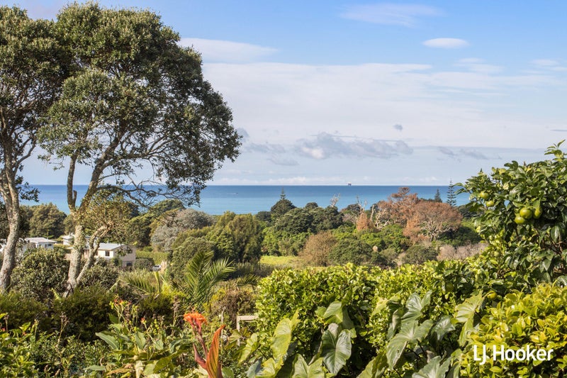 155 Koutunui Road, Athenree, Waihi Beach - Carousel 23