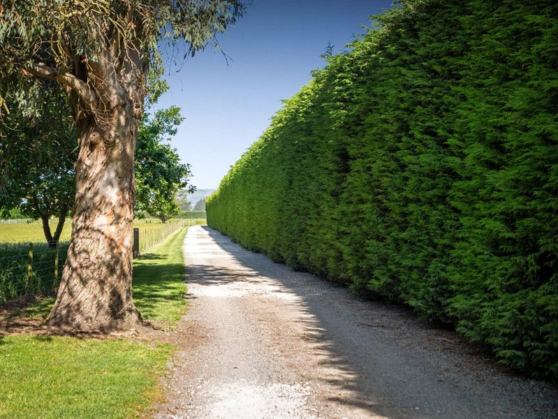 152 Bellam Road, Christchurch - Carousel 2