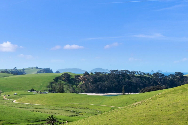 55 Harambee Road, Onerahi - Carousel 29