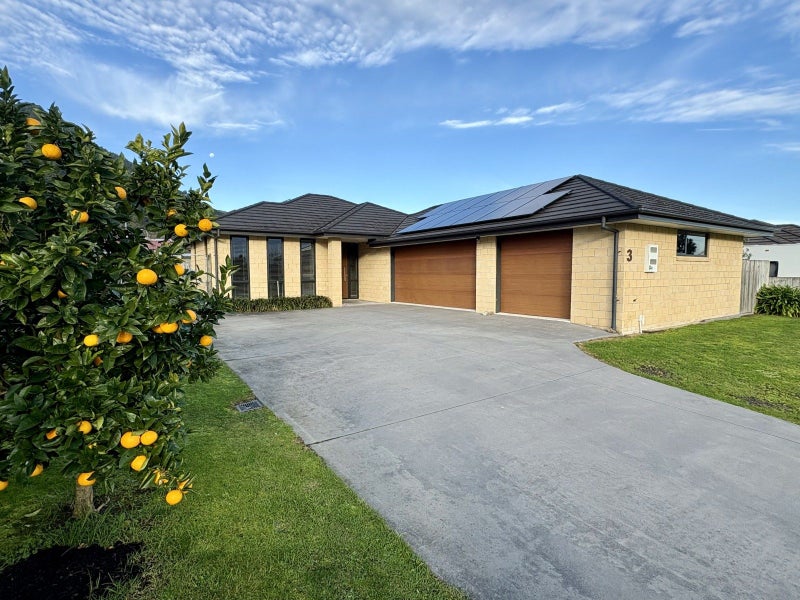 3 Millar Street, Te Aroha, Te Aroha - Carousel 1