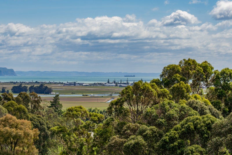 164 Puketitiri Road, Poraiti, Napier - Carousel 2