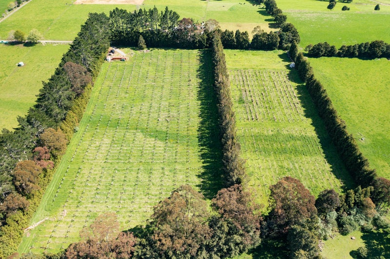 Property Valuation for 1374A Pipiwai Road, Ruatangata West Trade Me