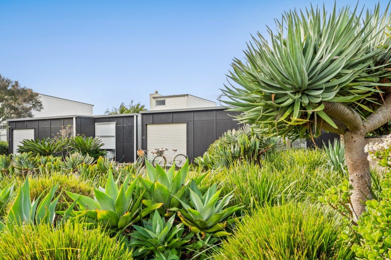 22/189 Mangatawhiri Road, Omaha, Auckland - Carousel 2