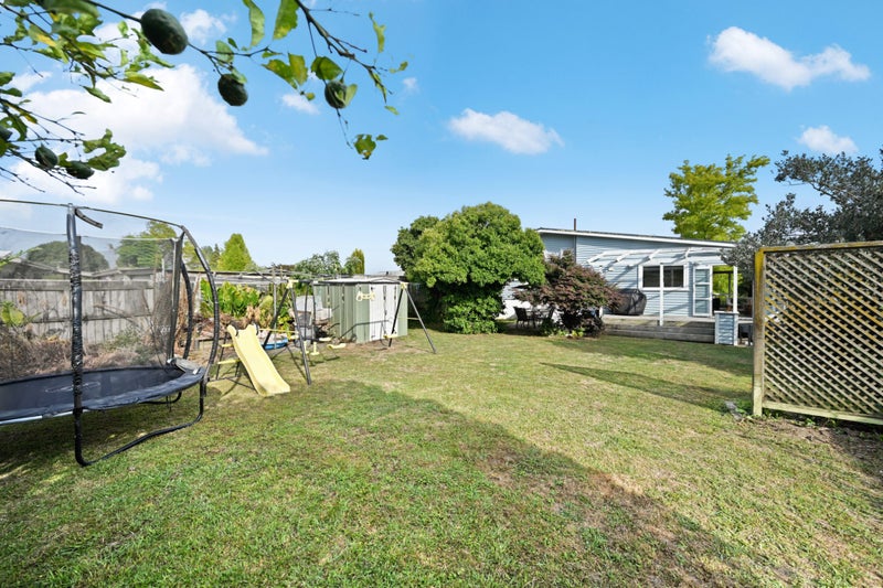 20 Patrick Place, Fitzroy, Hamilton - Carousel 14