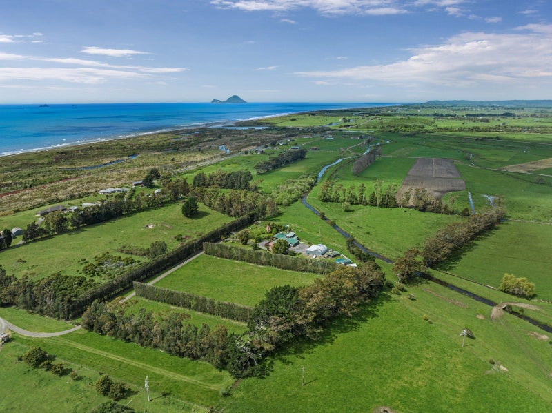 1685C Thornton Road, Matata, Whakatane, Bay Of Plenty - Carousel 44