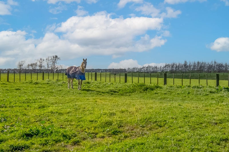 587 Inland Road, ONAERO, WAITARA - Carousel 20