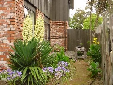 138C Clarence Street, Riccarton, Christchurch - Carousel 2
