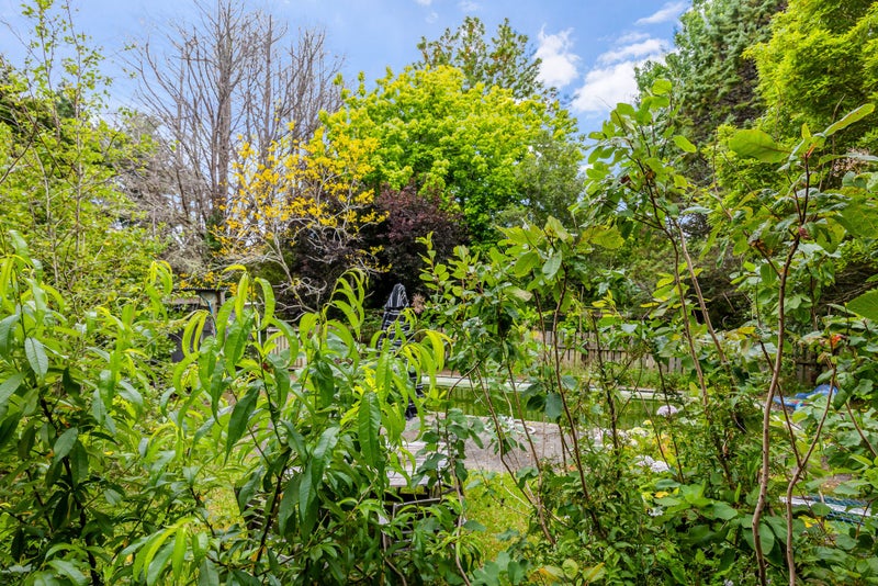 63 Hodgart Road, Warkworth, Warkworth - Carousel 25