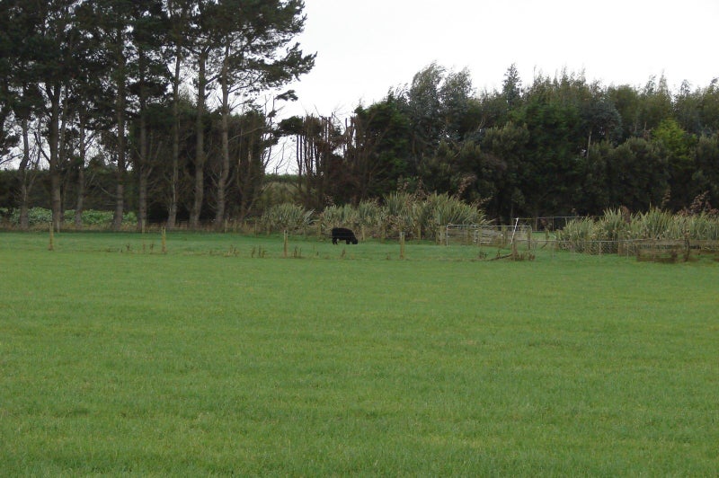 235 Staunton Road, West Plains - Carousel 2