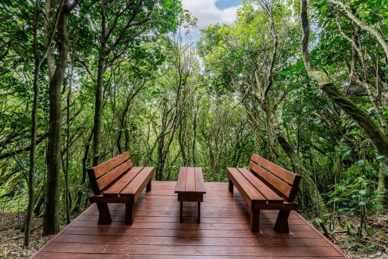 79 Heke Street, Ngaio, Wellington - Carousel 2