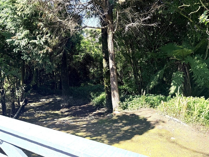 2 Jamieson Road, Karoro, Greymouth - Carousel 35