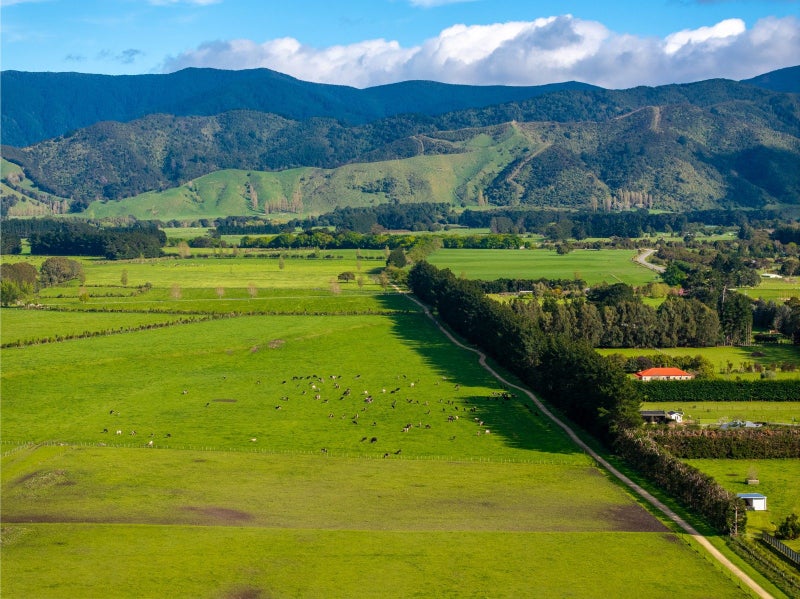 151A Woodside Road, Woodside, Greytown - Carousel 23