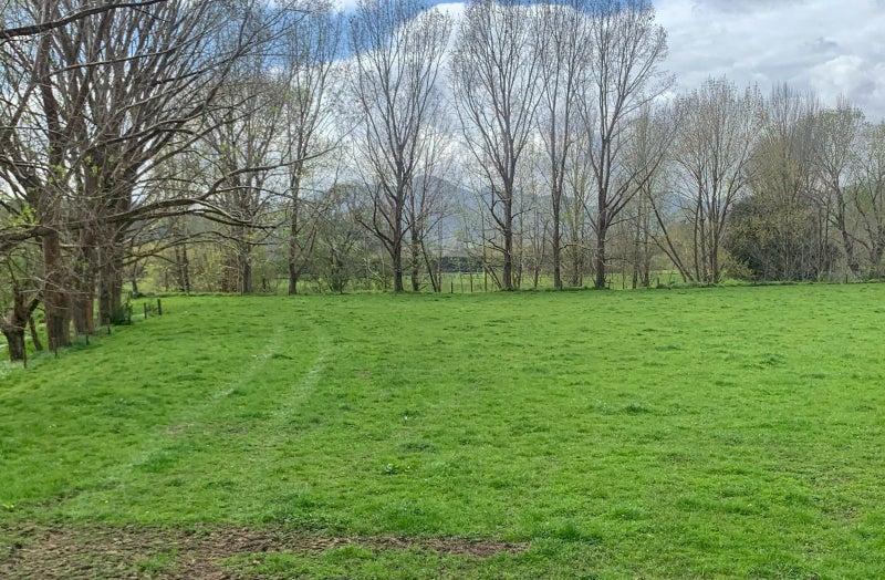 175 Maratoto Road, Hikutaia, Paeroa - Carousel 2