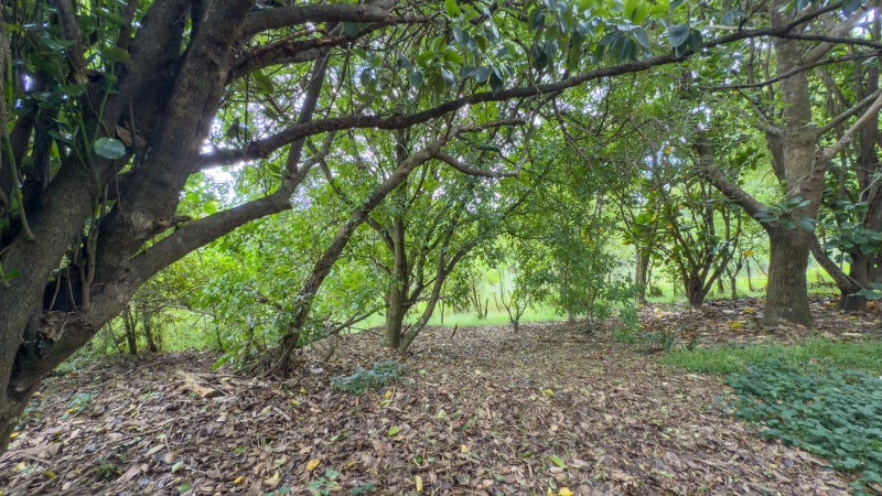 41B Totara Valley Road, Thames, Thames - Carousel 26