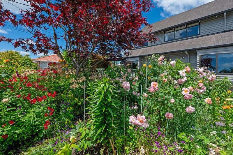 12 Davidson Street, Glenholme, Rotorua - Carousel 2