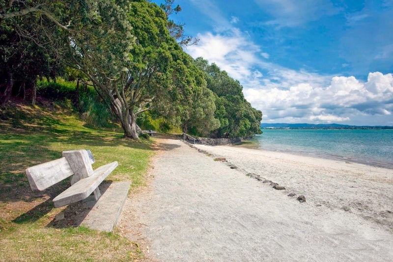 6 Studholme Street, Point Chevalier, Auckland - Carousel 13