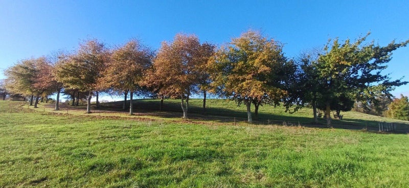 0 Tuki Tuki Road - Carousel 2