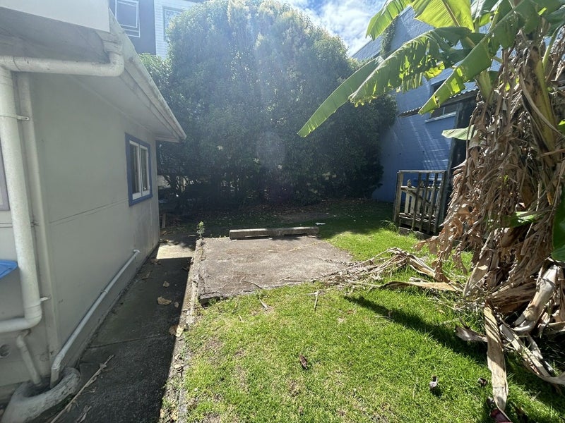 15 Kingsland Avenue, Kingsland, Auckland - Carousel 19