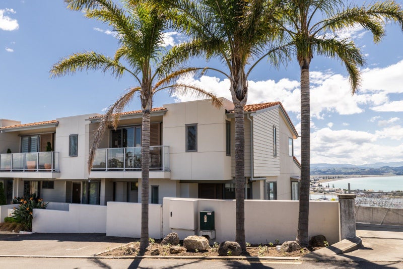 12/24 Hospital Terrace, Hospital Hill, Napier, Hawke's Bay - Carousel 27