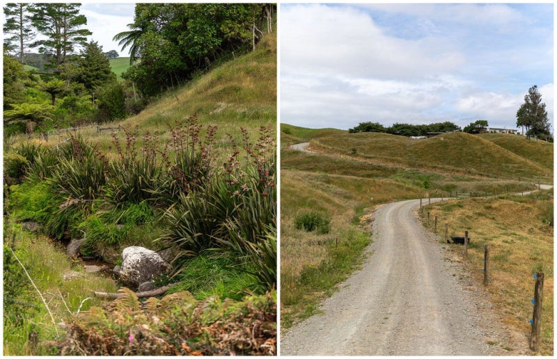 200 Corbett Road, Waihi, Waihi - Carousel 46
