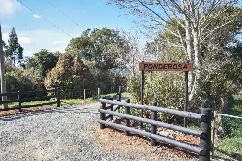 86 Waitati Valley Road, Upper Waitati, Waitati - Carousel 2